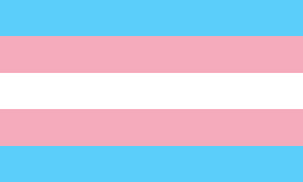 trans flag