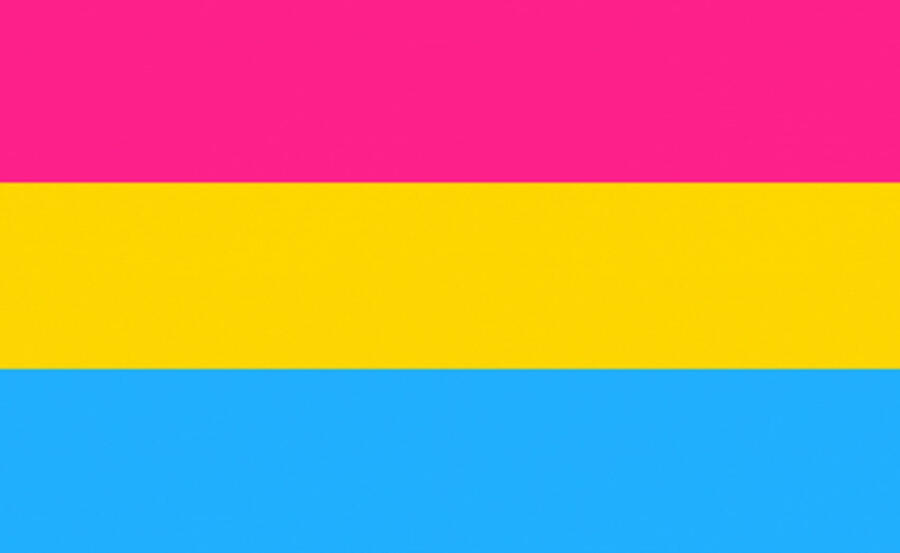 pansexual flag